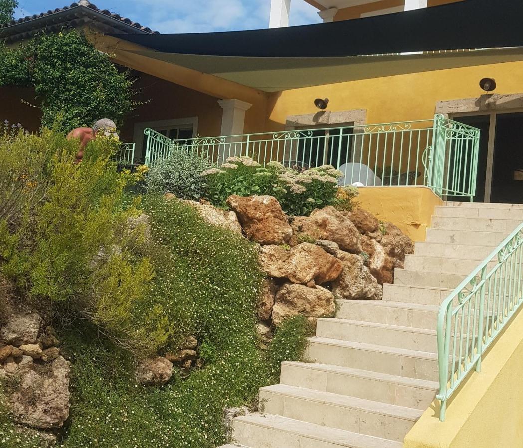 Maison Mimosa 萨雷尔讷 外观 照片