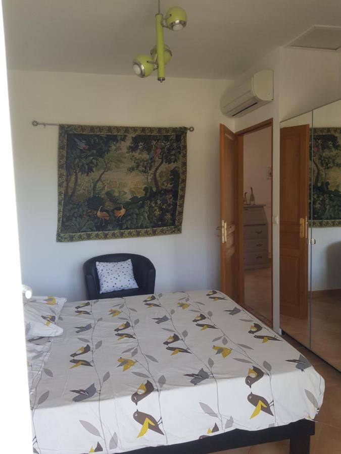 Maison Mimosa 萨雷尔讷 外观 照片