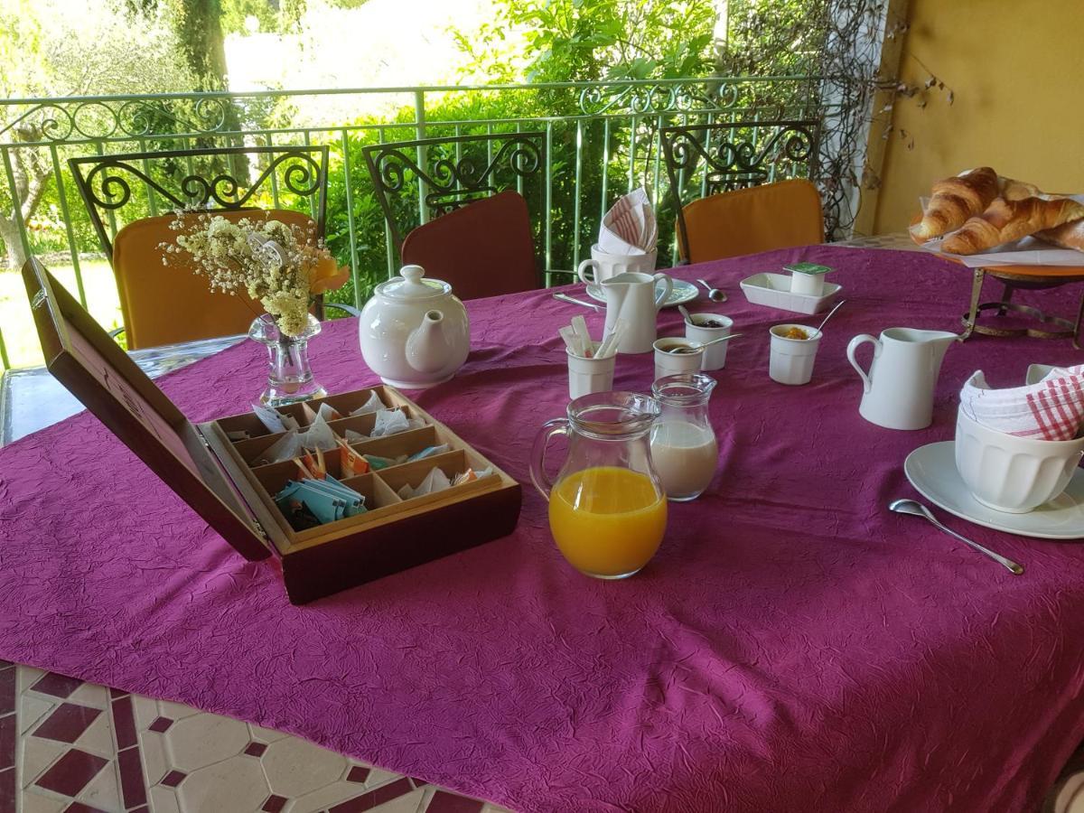 Maison Mimosa 萨雷尔讷 外观 照片